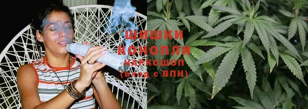 прущие крисы Белокуриха
