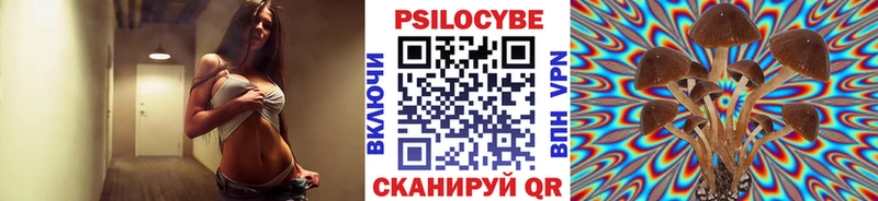 Галлюциногенные грибы Psilocybine cubensis  OMG ссылки  Кущёвская 